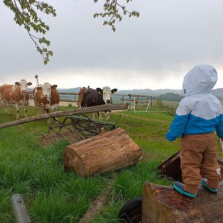 Ferienwohnung Im Muehlviertler Panorama Vierseithof Lembach im Mühlkreis Esterno foto